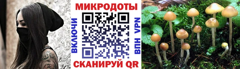 гидра как войти  Новый Уренгой  Псилоцибиновые грибы мухоморы 
